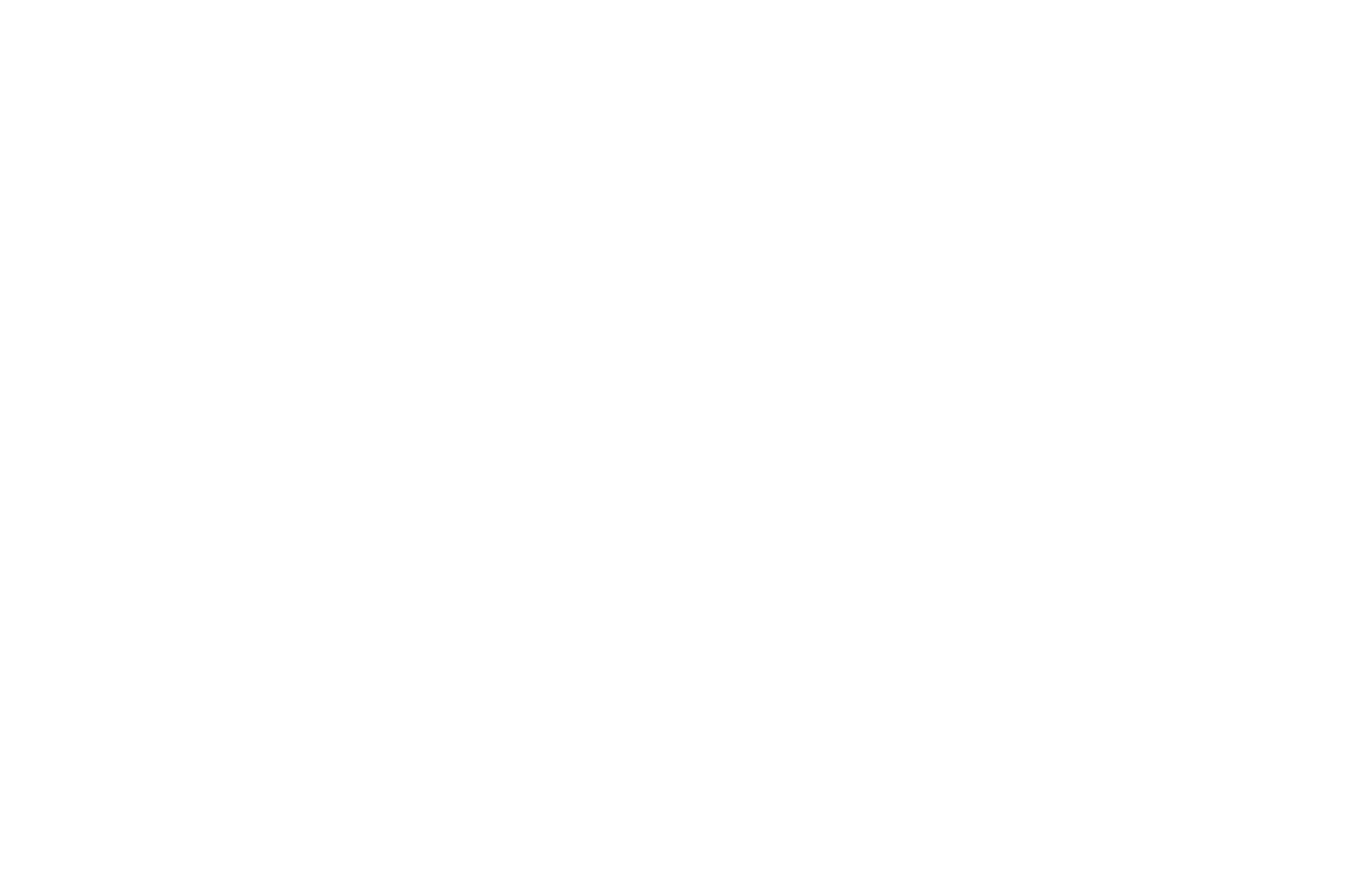 albatros